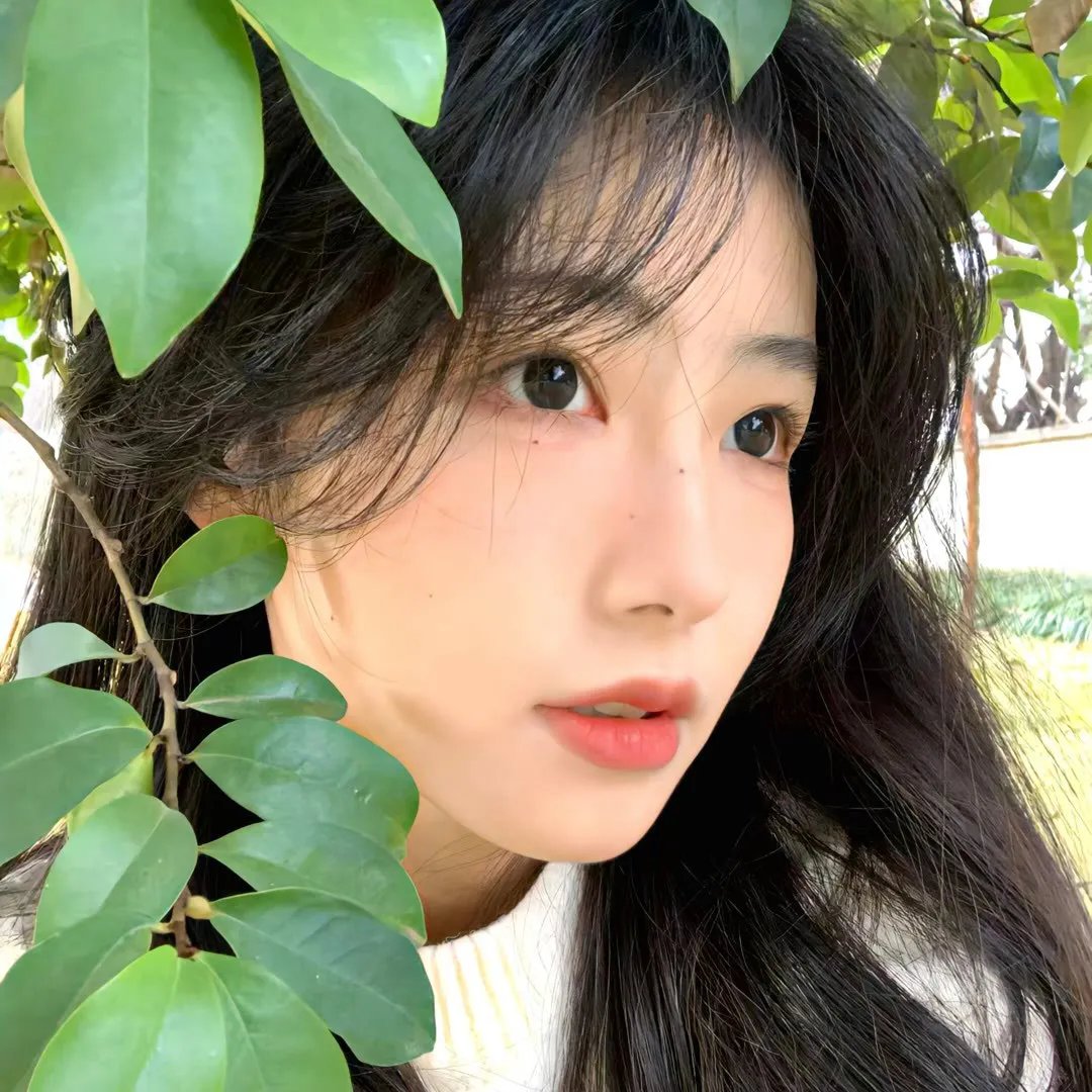 双鼠记